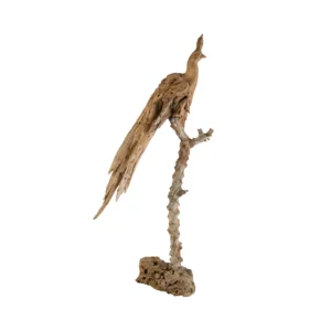 حجم چوبی طاووس